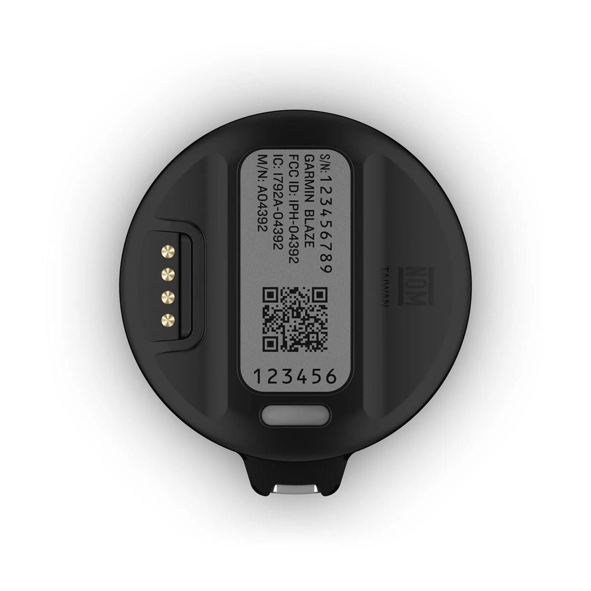 Garmin Blaze Equine Wellness System